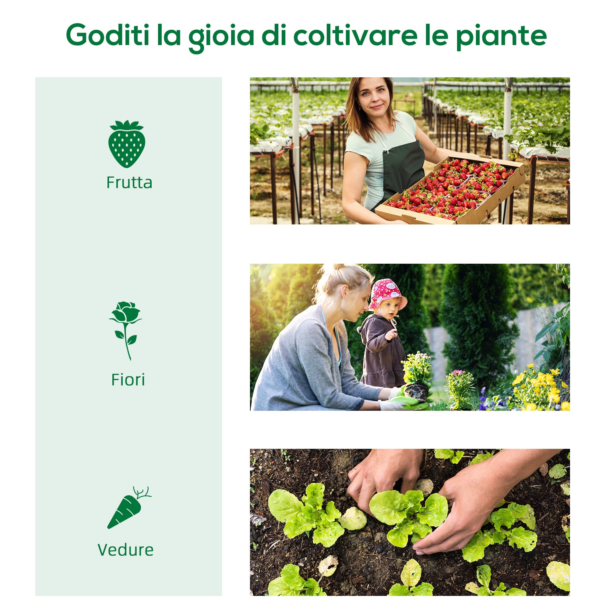 Serra da Giardino Verticale 80x50x160 cm con 4 Ripiani in Metallo e Copertura in PE Bianco