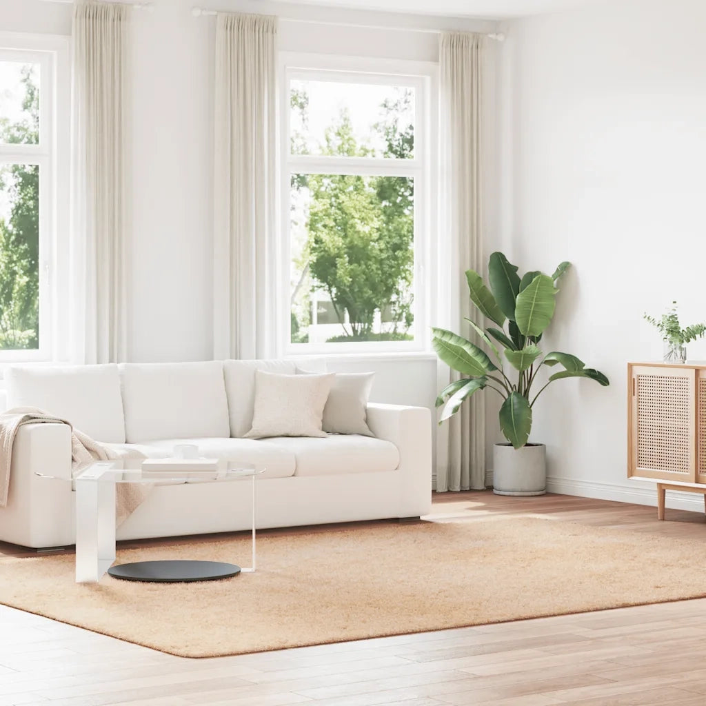 Tappeto del soggiorno | Tappeto Shaggy a Pelo Lungo NAVARRA Beige 240x340 cm poliestere
