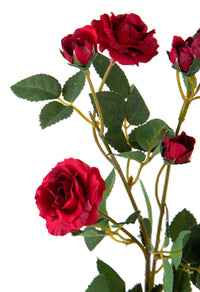 Set 6 Rose Artificiali Selvatica H 59 cm