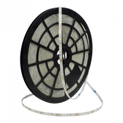 Striscia LED Ecolight 4,8W/m 6500K 300lm/m 12V IP20 50m