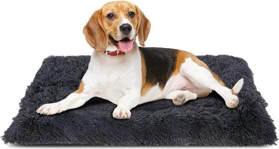 Letto per cani, cuscino per cani, per cani grandi, coperta per cani lavabile, ciotola per cani, divano antiscivolo per cani, cuscino per cani per cani e gatti di dimensioni medie, 91 x 59 cm