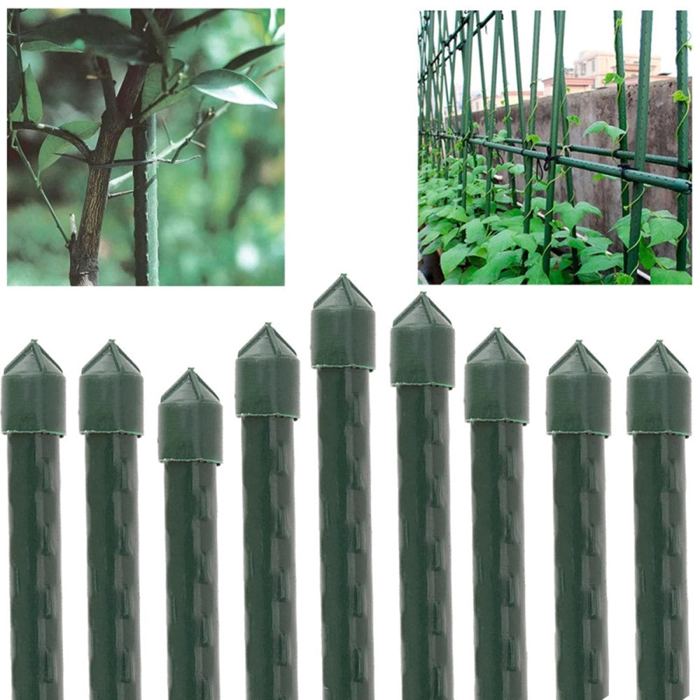 Trade Shop - Set 25 Pali Tutori Canna Per Sostegno Piante Rampicanti Pomodori H150cm ø11mm Grn20 764012 -