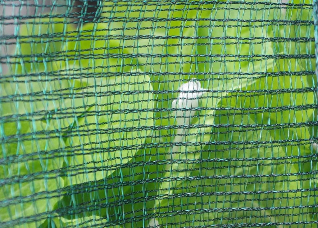 Rotolo Telo Anti Grandine Verde Ammortizzante Rete Protettiva Auto E Orto - 1.5x10 - Rete