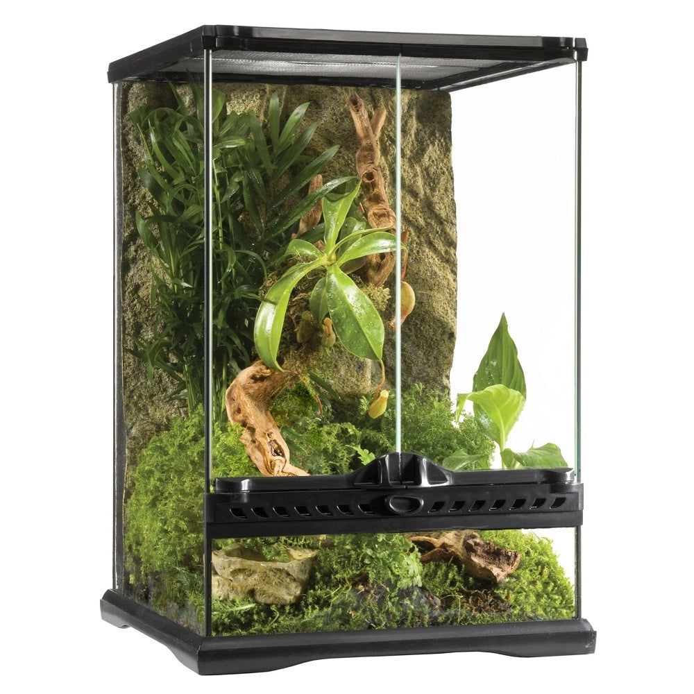 ExoTerra Glass Natural Terrarium Mini Tall – cm30x30x45h