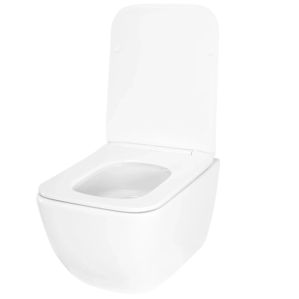 Vaso Wc Rea Dexter Tornado