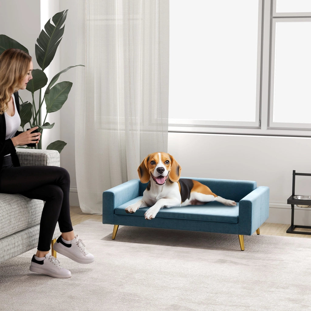Letto per cani imbottito con cuscino ¨C Zephmum ¨C Blu velluto metallo dorato 94x60x32 cm