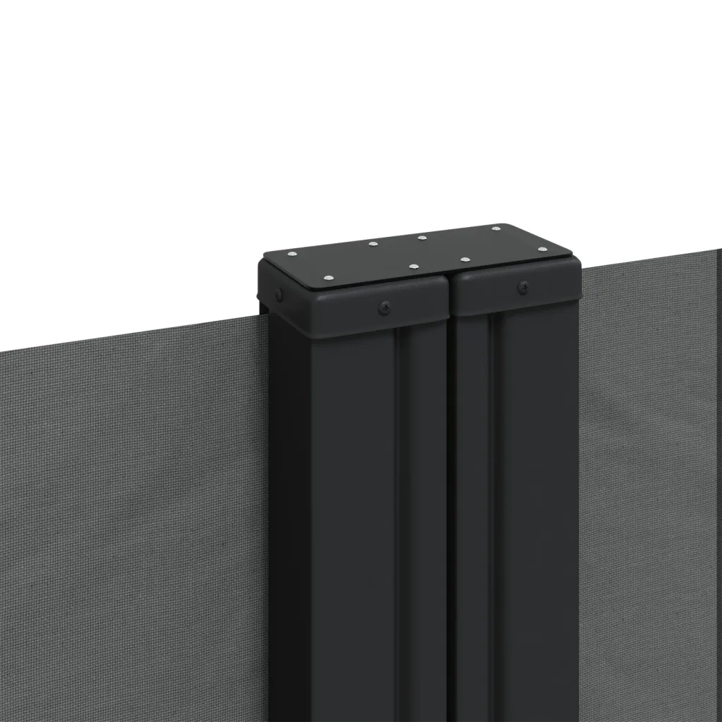 Tenda da Sole Laterale Retrattile-Tenda parasole per balcone Antracite 160x1000 cm