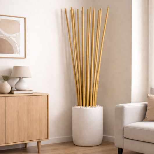 Canne in vero legno di bambu alte 180 cm con diametro di 2,4 cm - Set da 10