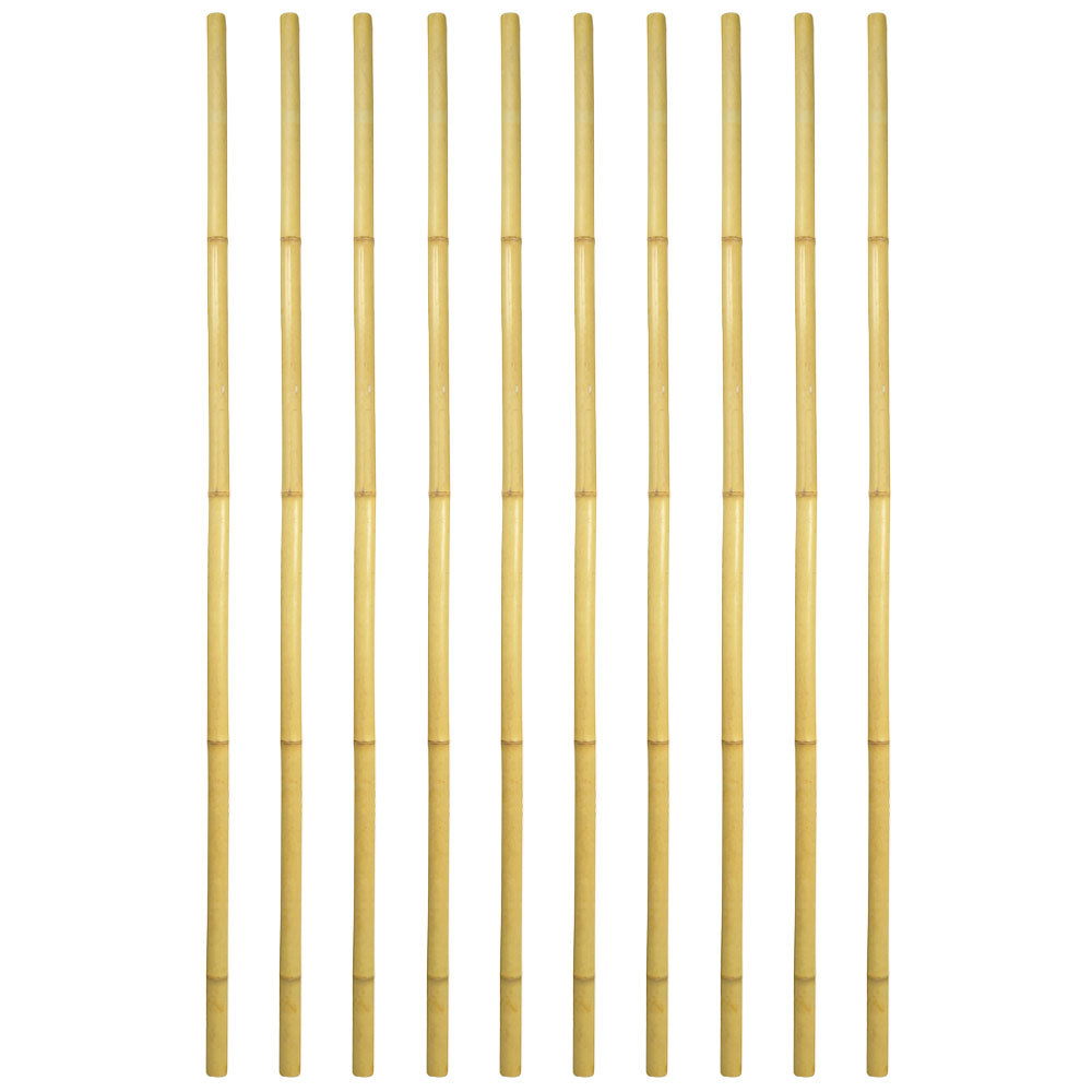 Canne in vero legno di bambu alte 210 cm con diametro di 2,8 cm - Set da 10