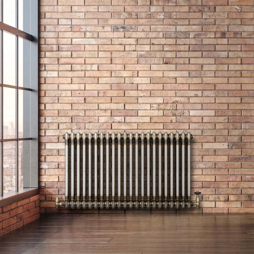 Radiatore 2 Colonne Orizzontale Metallo Grezzo 600 x 1010 mm TRV
