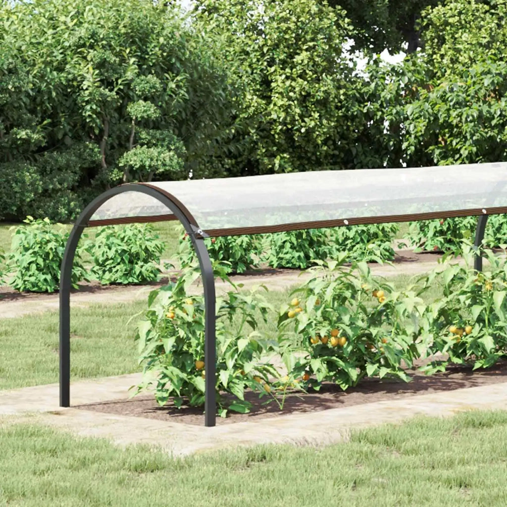 Copertura per Piante Trasparente 2,5 x 1,5 m PE 3429340