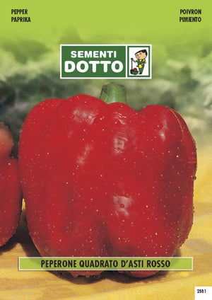 EXTRA_PEPERONE QUADRATO ROSSO