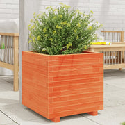 Fioriera Giardino Marrone Cera 50x50x49,5cm Legno Massello Pino 847355