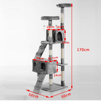 Albero Tiragraffi per Gatti con Due Cucce in Peluche e Sisal Grigio 50x50x170 cm