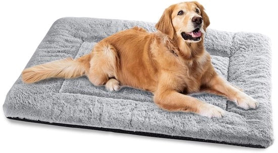 Letto per Cani per Cagne Grandi, Lavabile, 122 x 75 cm, Cuscino per Cani con Base Antiscivolo, Letti per Cani XXL per Cagne Grandi, Grigio