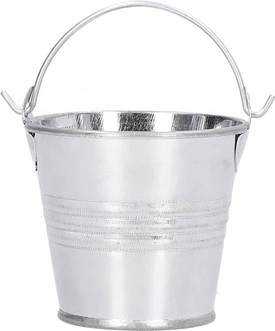 Mini vaso per piante - Vaso duraturo per decorazione indoor outdoor - Cassetta metallica per decorazione piccola - Veranda giardino - 4 x 55 x