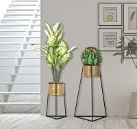 Vasi Coppia Glax Cm Ø 43X36X70-27X23X45