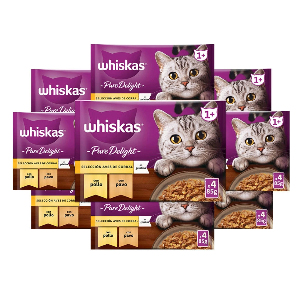 WHISKAS PURE DELIGHT CARNE IN GELATINA 13 CONFEZIONI 4 BUSTINE DA 85G 52 BUSTINE TOTALI 2 GUSTO POLLO 2 GUSTO TACCHINO