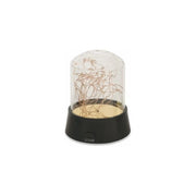 Led Star Luce Decorativa