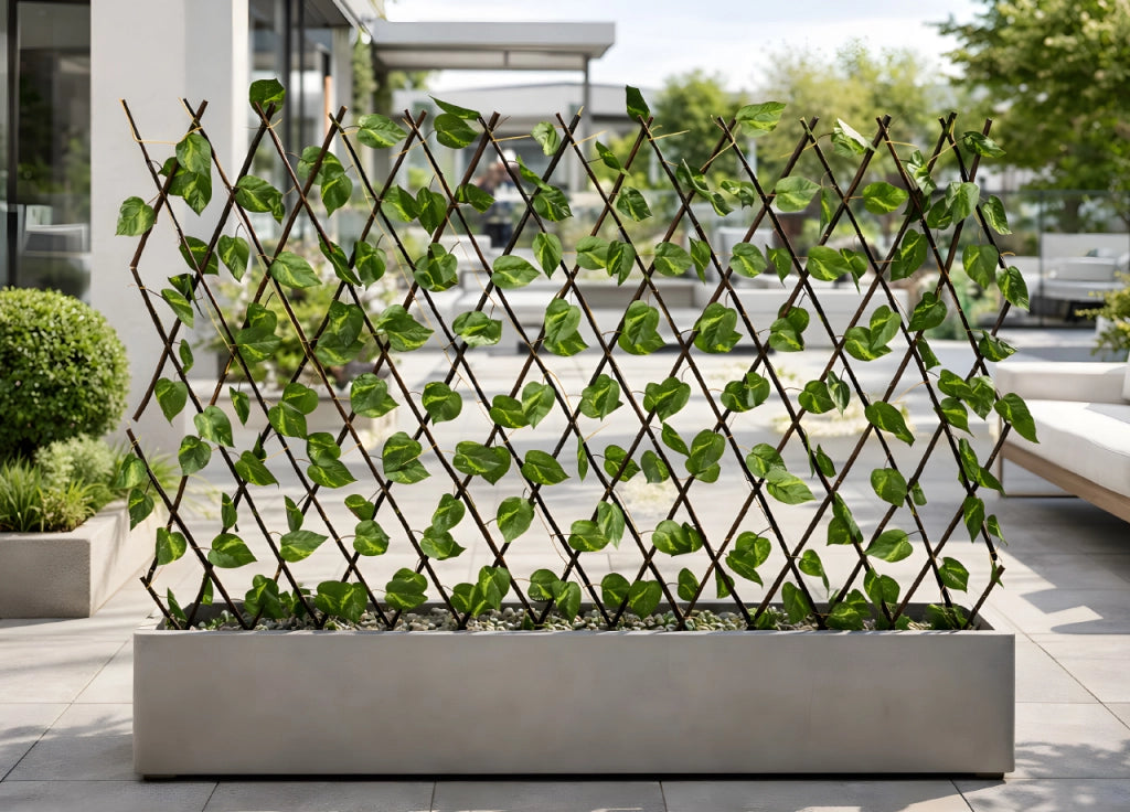 Traliccio Potos Foglie Rampicante Verde Frangivista Recinzione Giardino Balcone 1x2mt