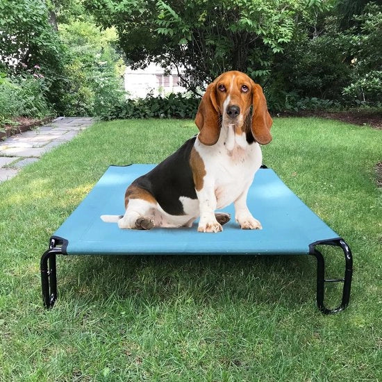 Letto per cani alto - Dimensioni 35 x 28 x 8 pollici - Cuscino morbido verde scuro per piccoli cani