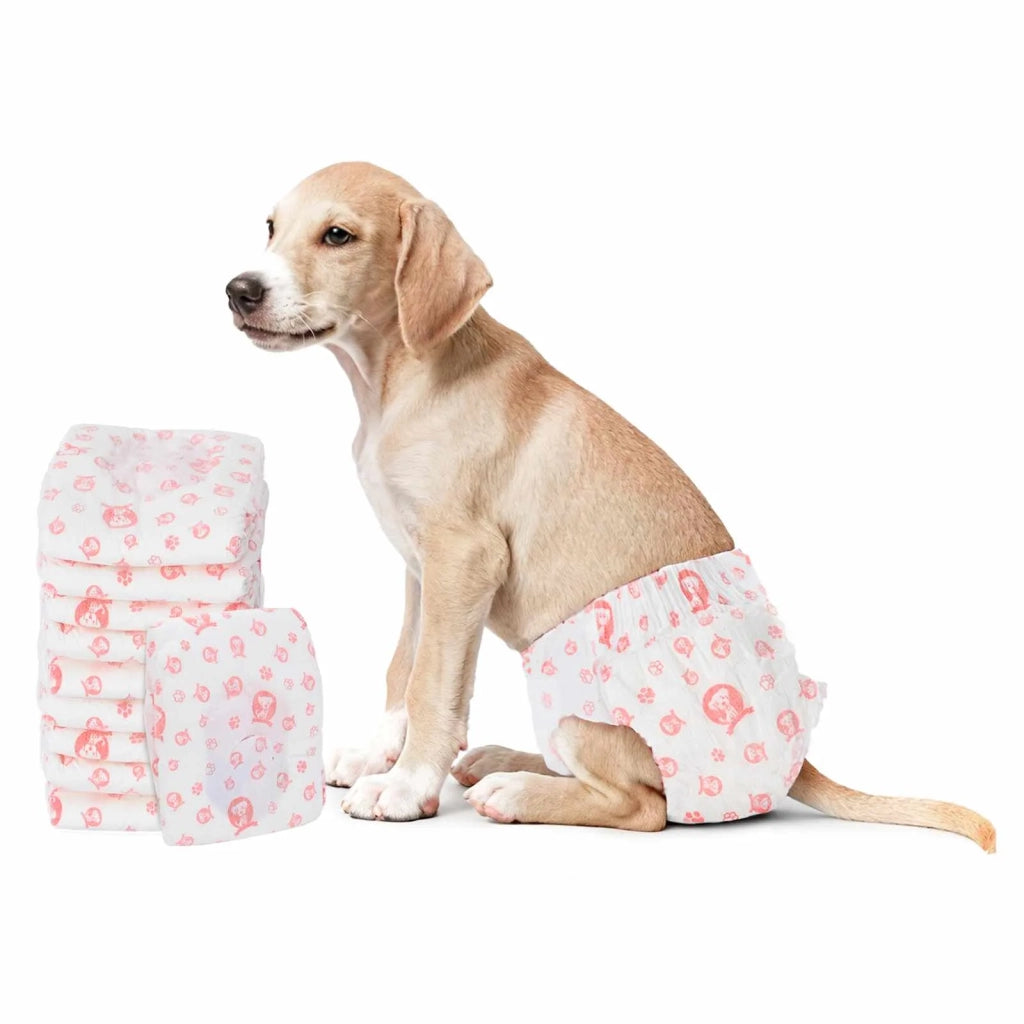 Pannolino usa e getta per cani femmina 30 pz Bianco M CFW5047365