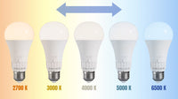 Lampadina Led 5 Tonalità Di Luce Gls E27 230v 10w 5cct