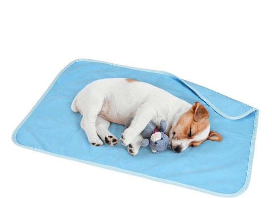 Deck dekken per cane impermeabile, copri divano impermeabile per entrambi i lati, protezione per mobili, lavabile, impermeabile, comodo, 75 x 50 cm, blu