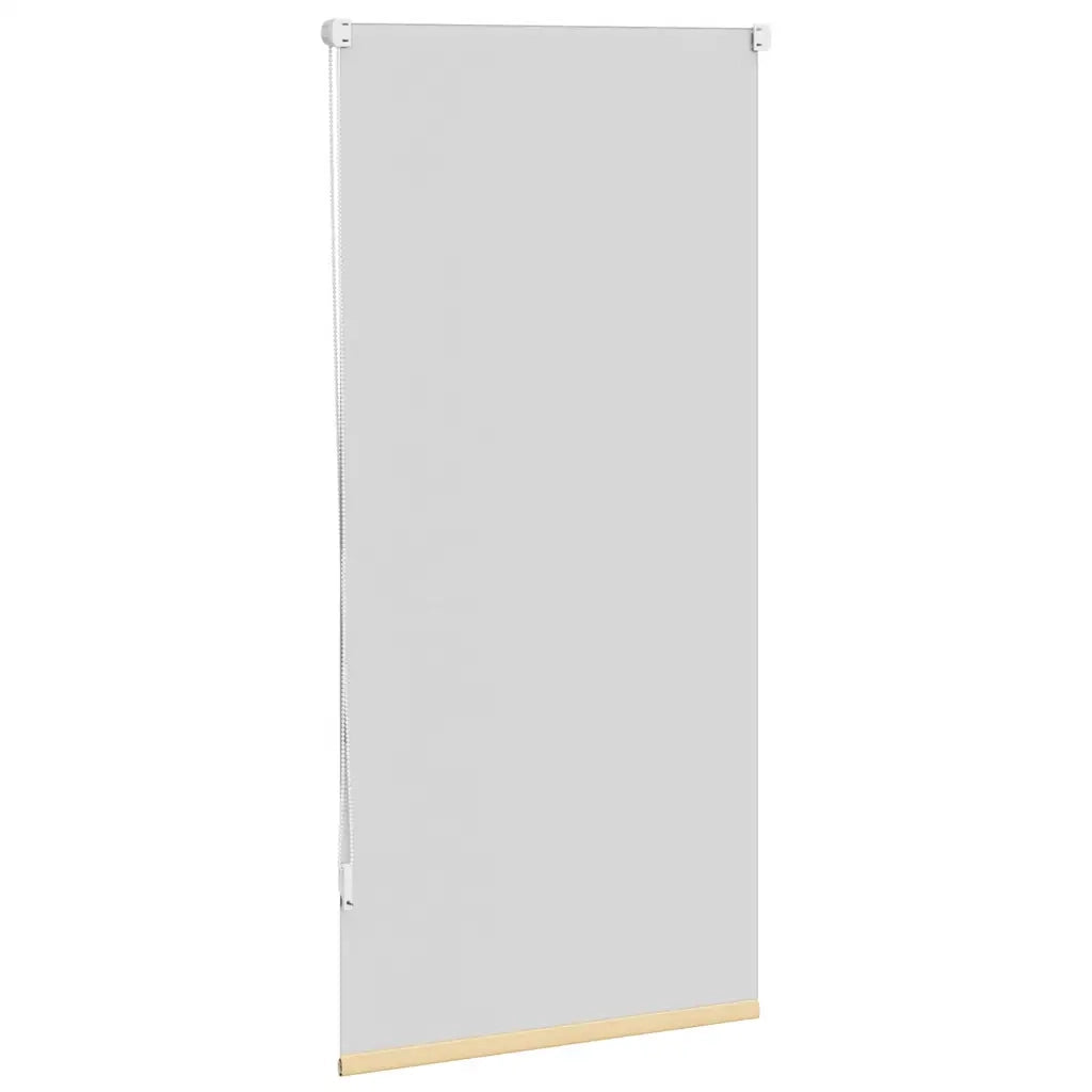 Tenda Oscurante a Rullo 60 x 120 cm Beige cod mxl 47555