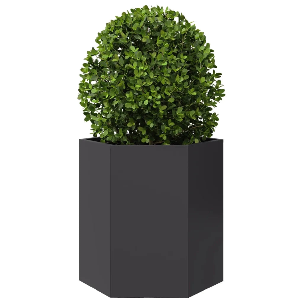 Fioriera da Giardino Nera Esagono 46x40x45 cm in Acciaio 851108