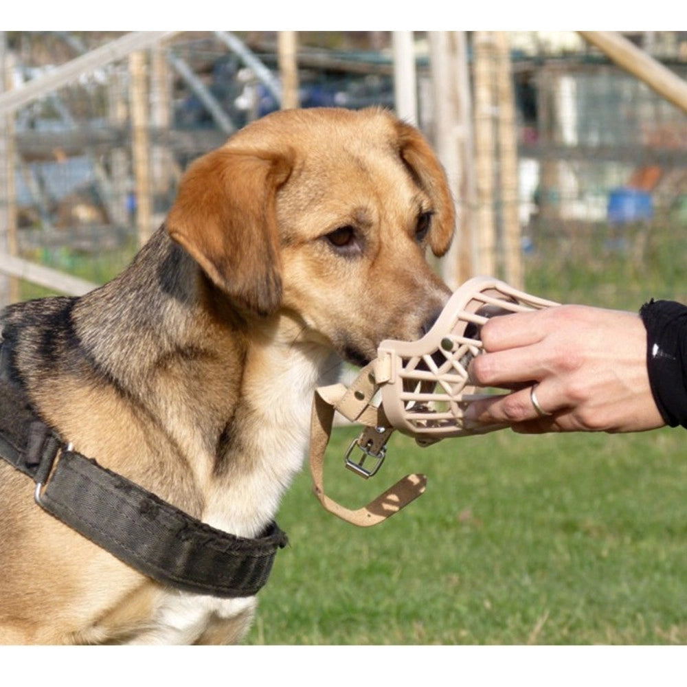 Trade Shop - Museruola A Cestello In Plastica Per Cani Di Piccola Media Grande Taglia Sicura -    Xl