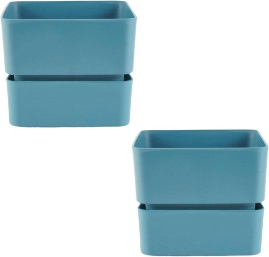 Piante Succulente in Piccole Ciotole di Plastica Quadrata, Comprensivo di Piastrella (2 cm)