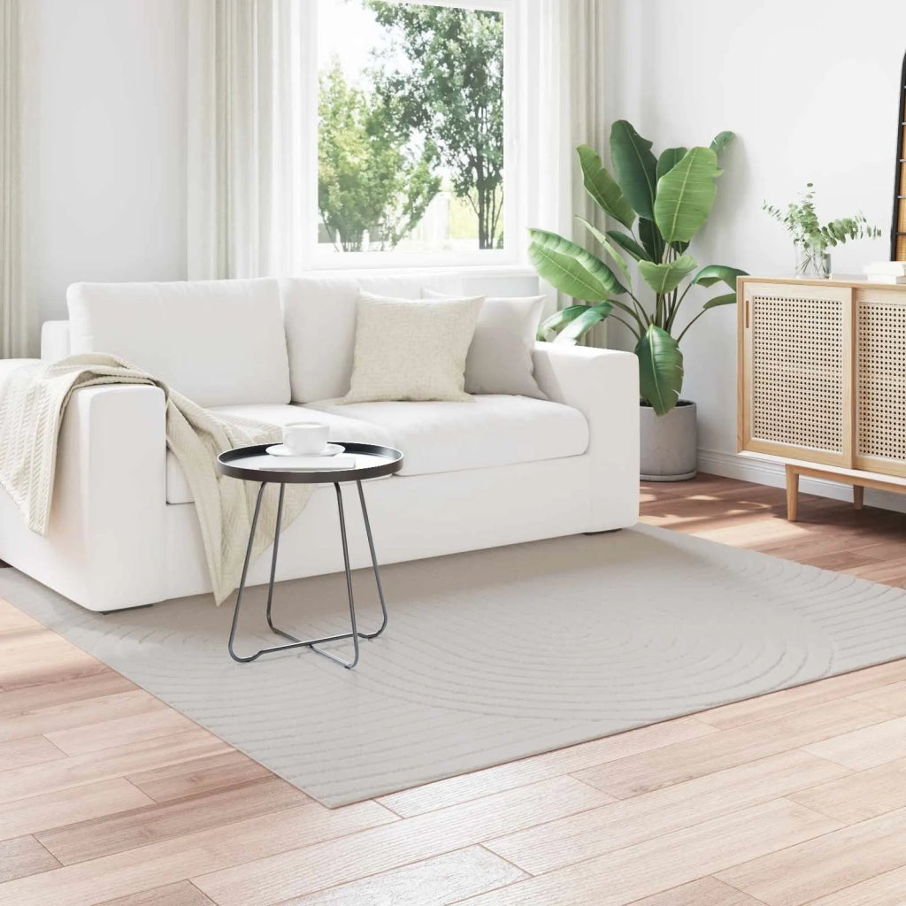 Tappeti per area SIROLO Sabbia 340 x 240 cm Poliestere