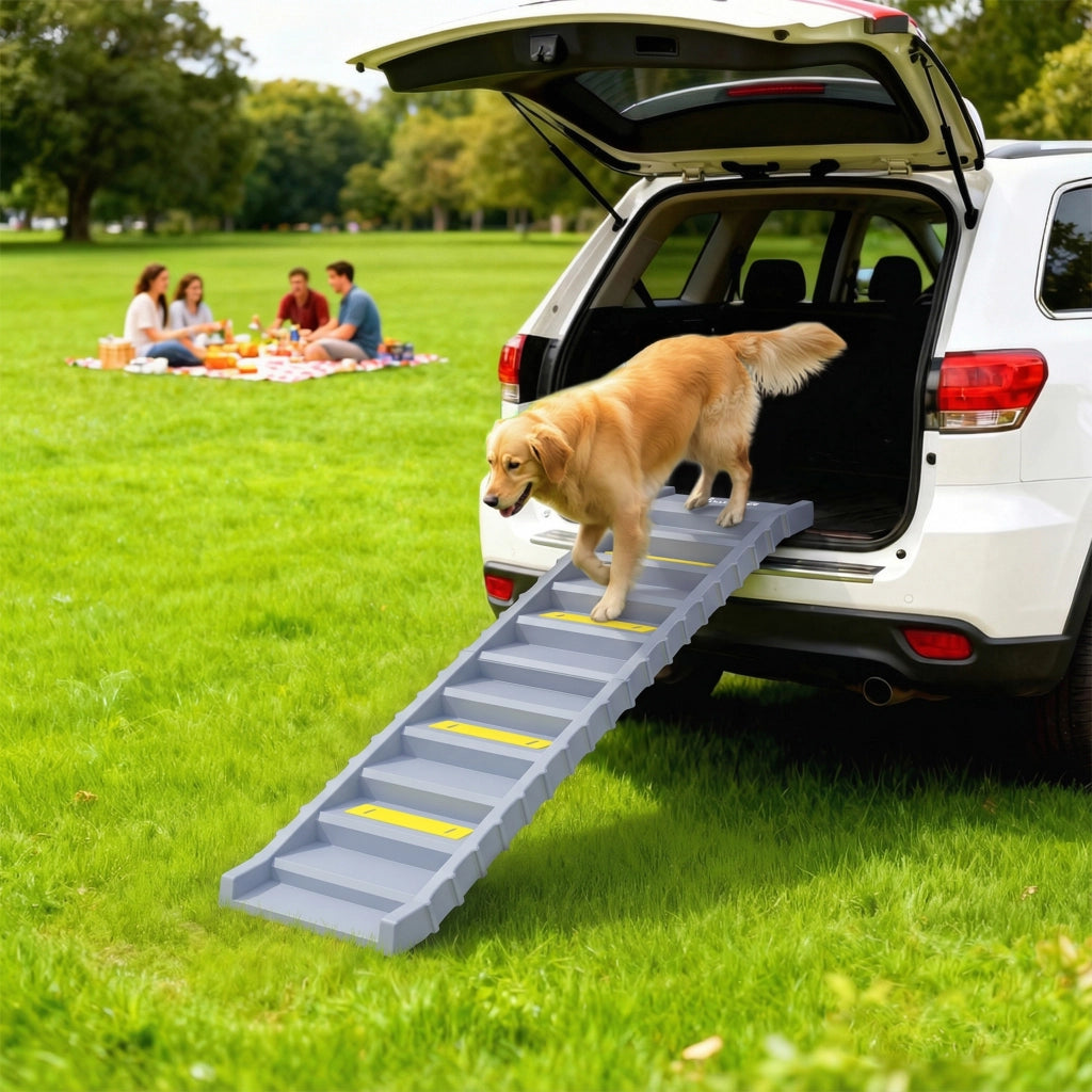 Rampa Pieghevole per Cani per Auto e Letti Alti a 10 Gradini con Strisce e Tappetini Antiscivolo, Grigio
