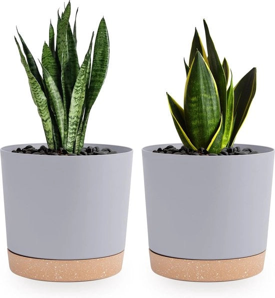 Pak di Piantine da Interno con Fusti di 2 pezzi da 16,5 cm, Vasi per Piantine con Fessure di Drenaggio e Fondi Rimovibili, Sostegni, Decorazione Moderna per Piantine Esterne (Grigio chiaro, 16,5 cm)