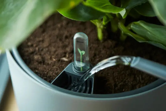 Inserto autoirrigante 24 cm universale per vasi ELHO e vasi da interno Colore: Nero