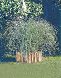 rollborder in pino impregnato cm 5 x 30h x 200l cod:ferx.35066