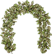 Set di 2 slanci di fiori artificiali 170 cm - tradescantia nanouk rampicanti - decorazione per piante per matrimonio e festa - decorazione per giardino e festival - decorazione per parete