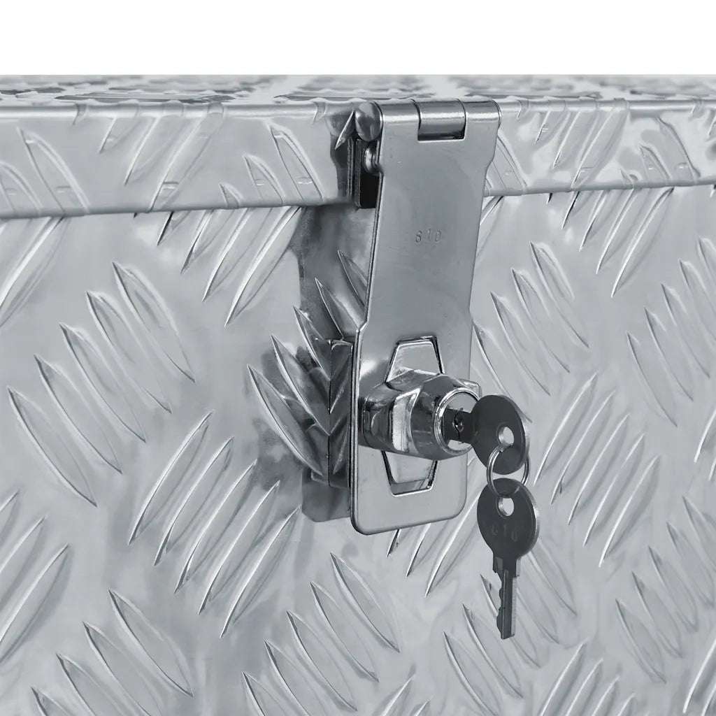 Cassetta in Alluminio 80x30x35 cm Argento CFW2298532