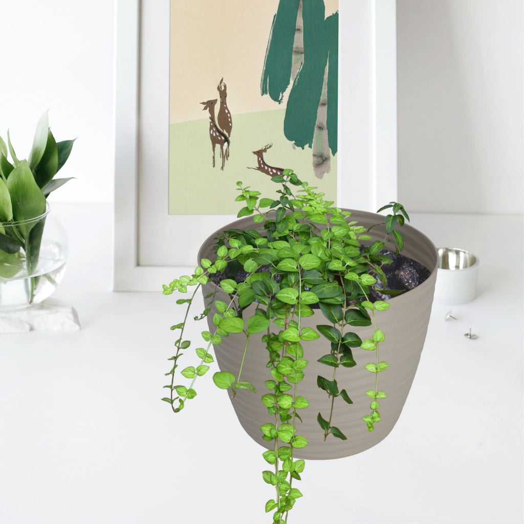 Vaso da fiori KADAX rotondo da 17 cm in plastica grigia