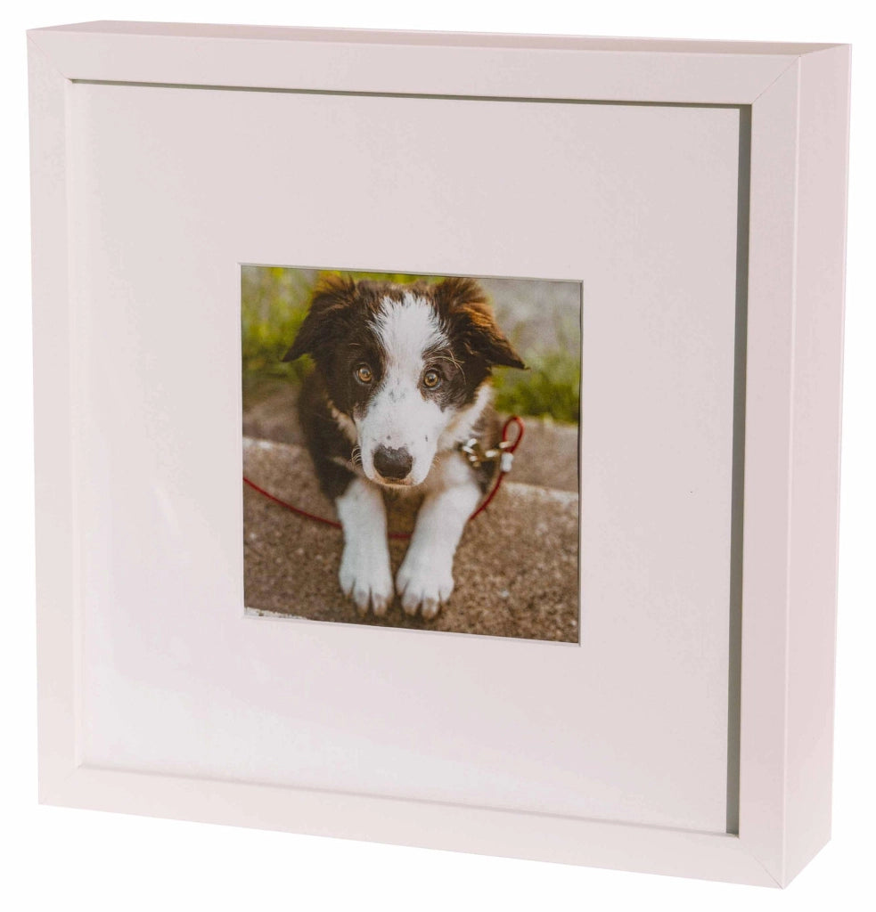 Urna Cineraria a Forma di Cornice per Animali 27x27x6cm GMF