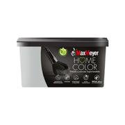 HOME COLOR SUPERLAVABILE LT.2,5 SILVER- 1,0 pz