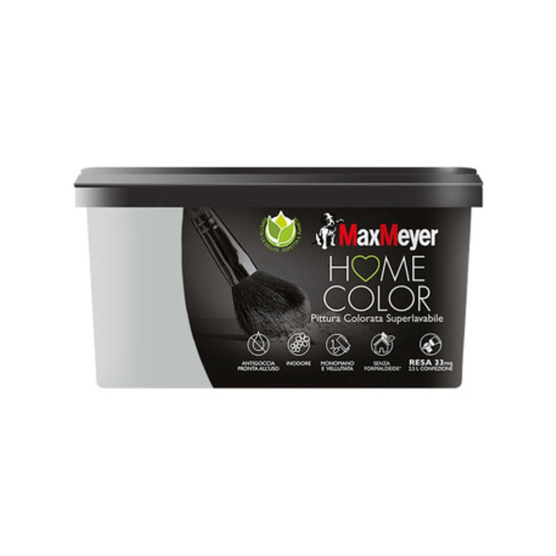HOME COLOR SUPERLAVABILE LT.2,5 SILVER- 1,0 pz