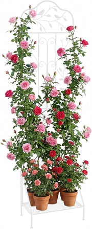 Traliccio per Rampicanti Metallo con Ripiano Pieghevole, Graticcio per Piante da Esterno, Griglia per Piante Rampicanti per Giardino, Cortile e Patio, 50 x 30 x 189,5 cm (Bianco,1)