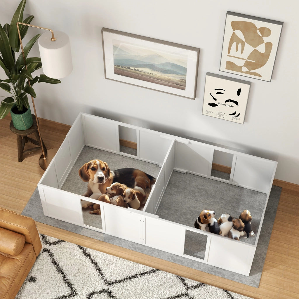 Casetta per Cuccioli Divisibile 2 Spazi Finestra Acrilica ¨C Zephmum ¨C 196x96x48 Bianco