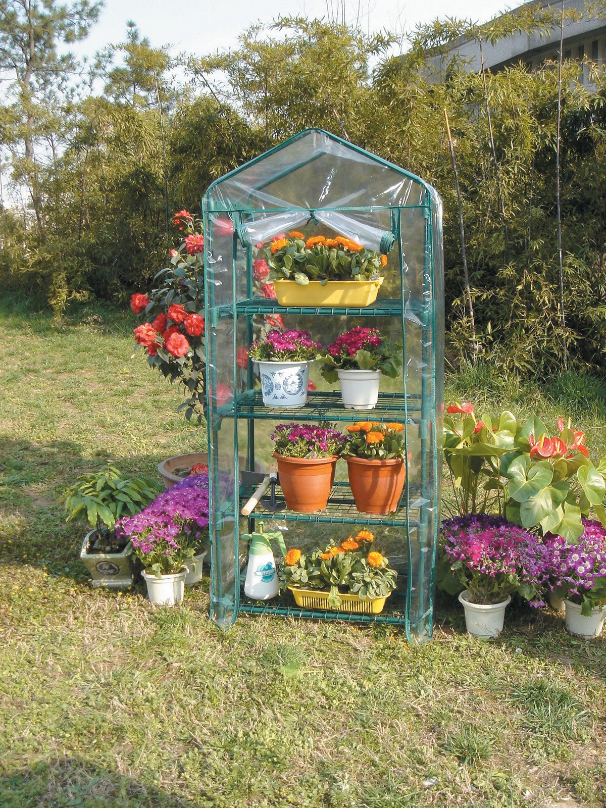 serra da giardino cm 69x49x158h cod:ferx.35330