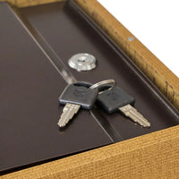 Cassaforte di Sicurezza Forma Libro con Due Chiavi Porta Valori Segreto Metallo