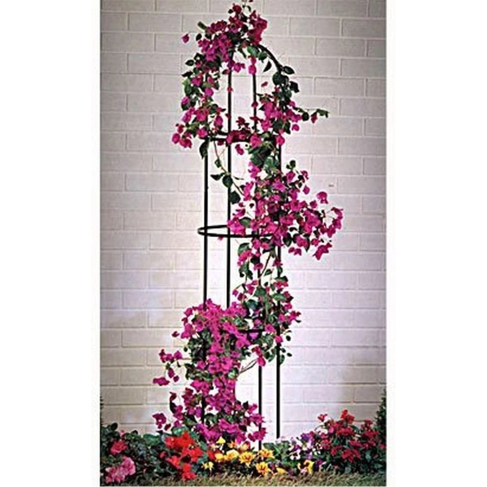 Supporto per Piante Rampicanti Obelisco Piramide da Giardino Altezza 185cm Verde