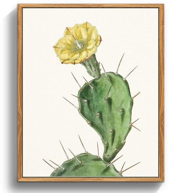 Scheda da Parete Premium - Tela - Opuntia con Fusto Lungo - Decorazione per la Stanza da Letto o la Stanza da Bagno - Cornice in Legno di Alta Qualità - Facile da Appendere - Arte per la Parete
