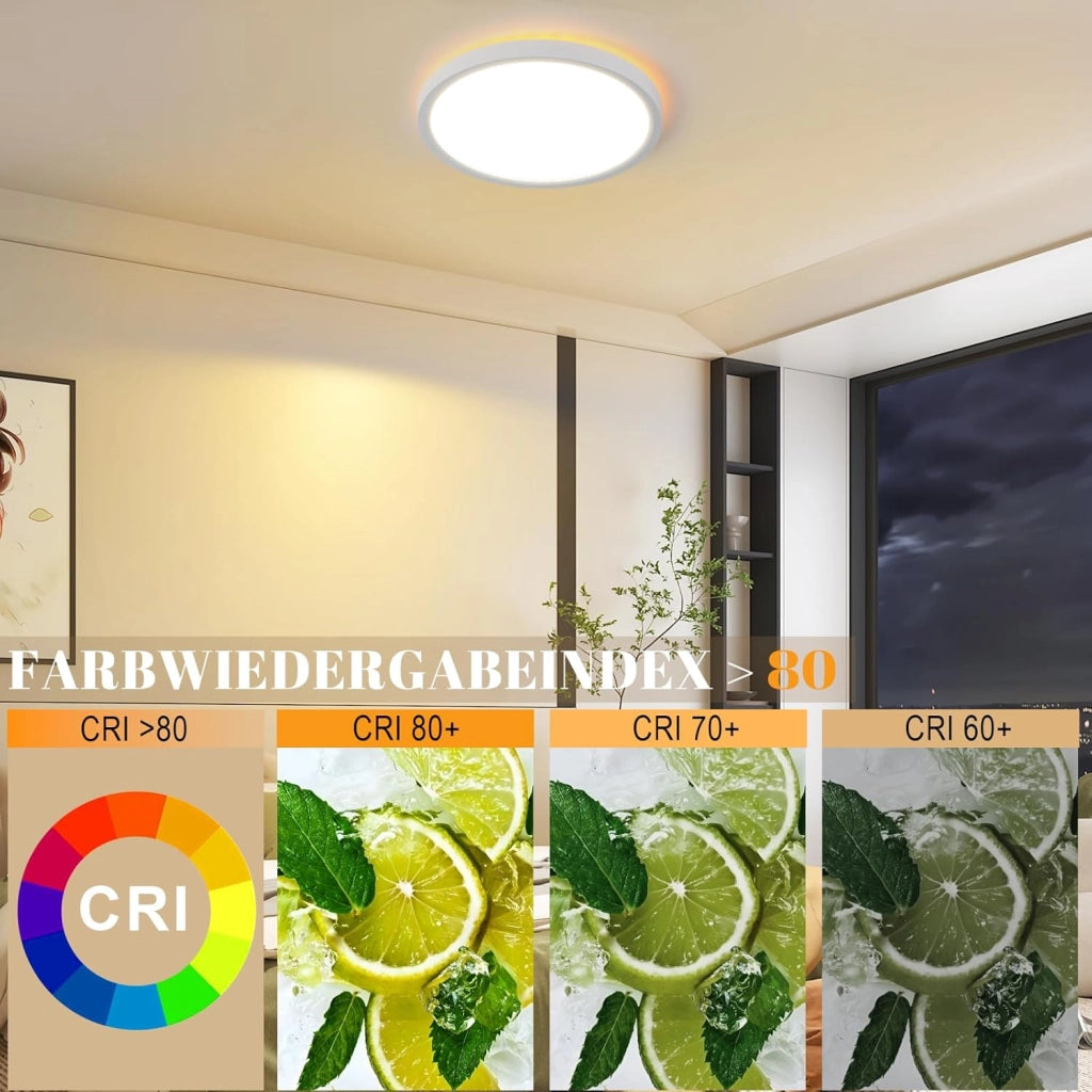 ZMH Lampada da soffitto plafoniera LED minimalista 22cm 18W per cucina
